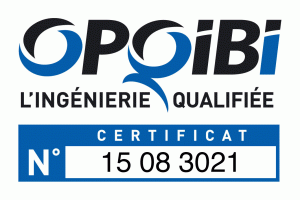 Qualification-OPQIBI