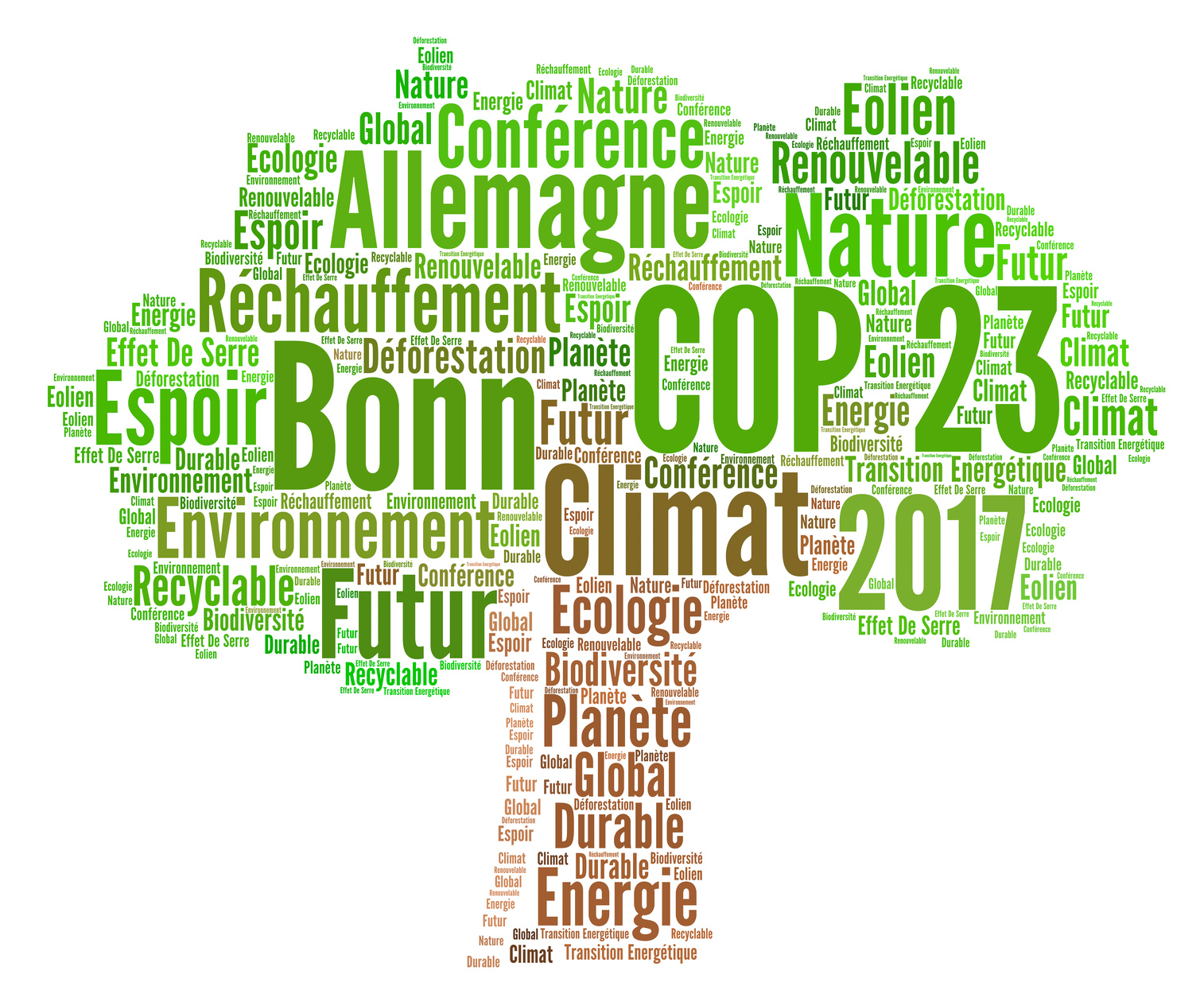 COP 23